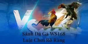 Chiến Thuật Chơi Đá Gà WS168 Tại D79Bet Bất Bại Dành Cho Kê Thủ