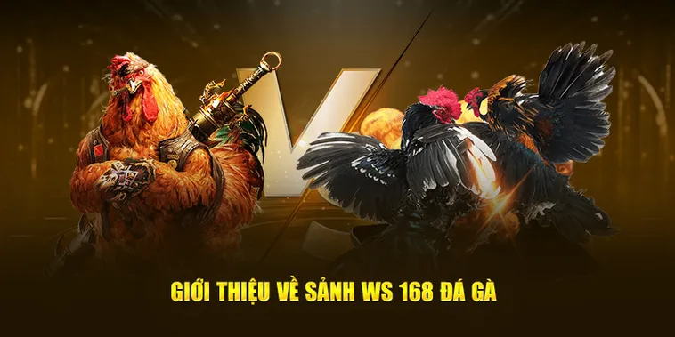 Chiến Thuật Chơi Đá Gà WS168 Tại D79Bet Bất Bại Dành Cho Kê Thủ