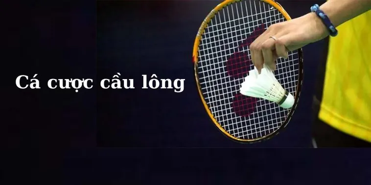 Tuyệt Chiêu Cá Cược Cầu Lông D79Bet Giúp Bạn Làm Giàu Nhanh Chóng