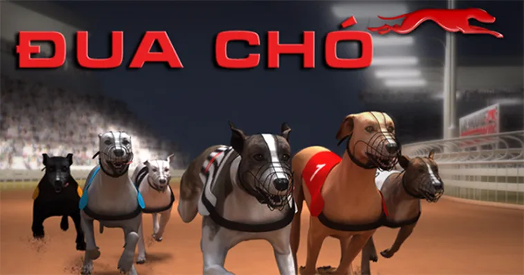 Tuyệt Chiêu Chơi Game Nhanh Đua Chó Tại D79Bet Đỉnh Cao Cho Tân Thủ