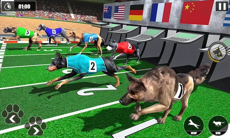 Tuyệt Chiêu Chơi Game Nhanh Đua Chó Tại D79Bet Đỉnh Cao Cho Tân Thủ