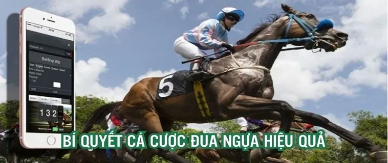 Kinh Nghiệm Cá Cược Đua Ngựa D79Bet Giúp Bạn Trở Thành Cao Thủ 2 Kinh Nghiệm Cá Cược Đua Ngựa D79Bet Giúp Bạn Trở Thành Cao Thủ