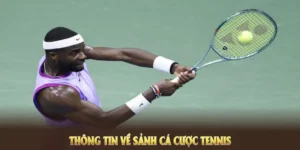 Tuyệt Chiêu Cá Cược Quần Vợt D79Bet Mang Lại Lợi Nhuận Khủng
